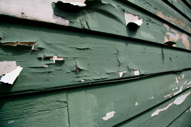 Indiana, PA Junk Removal Company